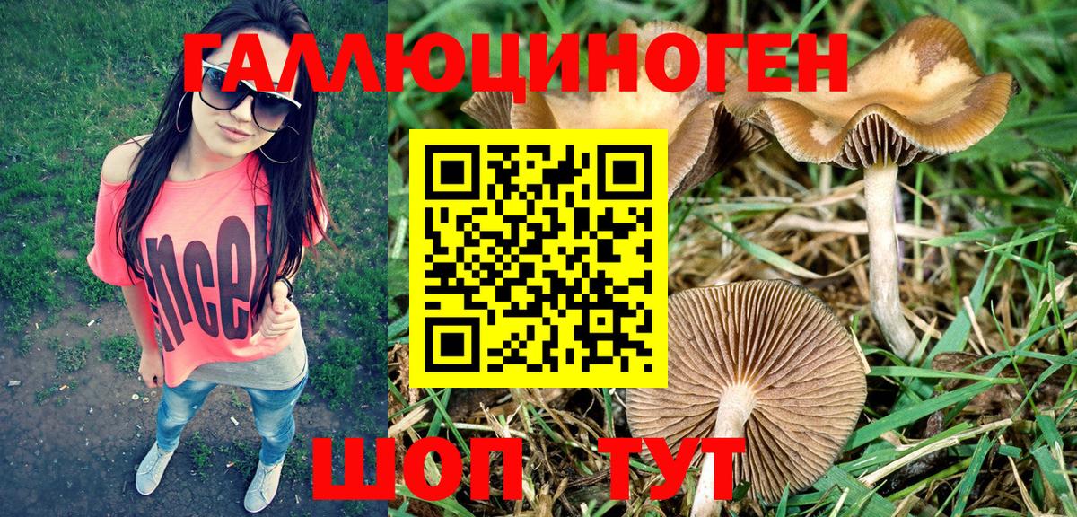 Галлюциногенные грибы мицелий Королёв