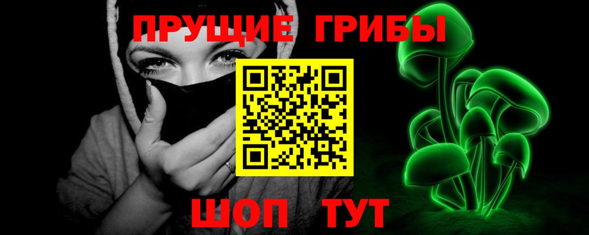 Галлюциногенные грибы Magic Shrooms  Галлюциногенные грибы Psilocybe  Королёв  Вход с VPN 